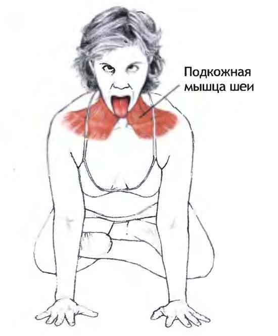 content_plyatizma8_1__econet_ru