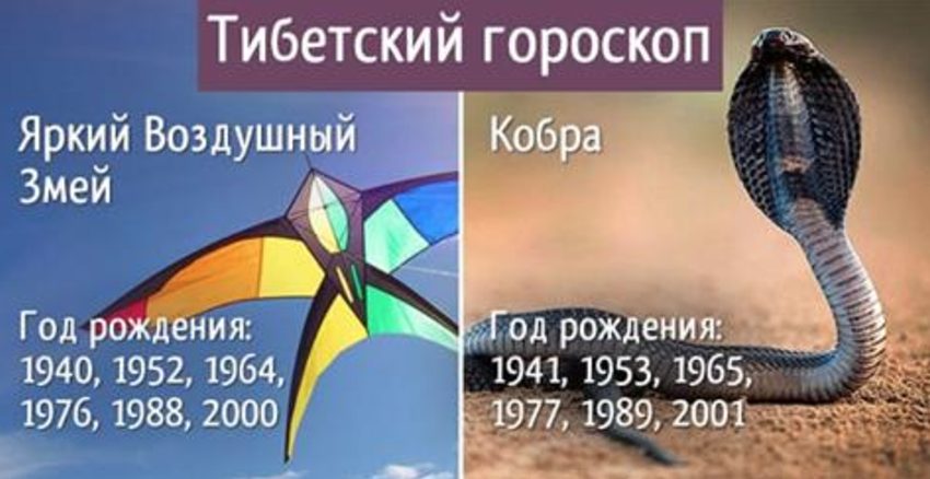Тибетский гороскоп. 4 секрета мудрецов